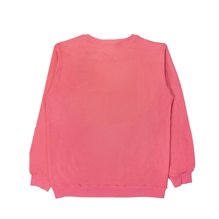 Mountain Beast Sweatshirt