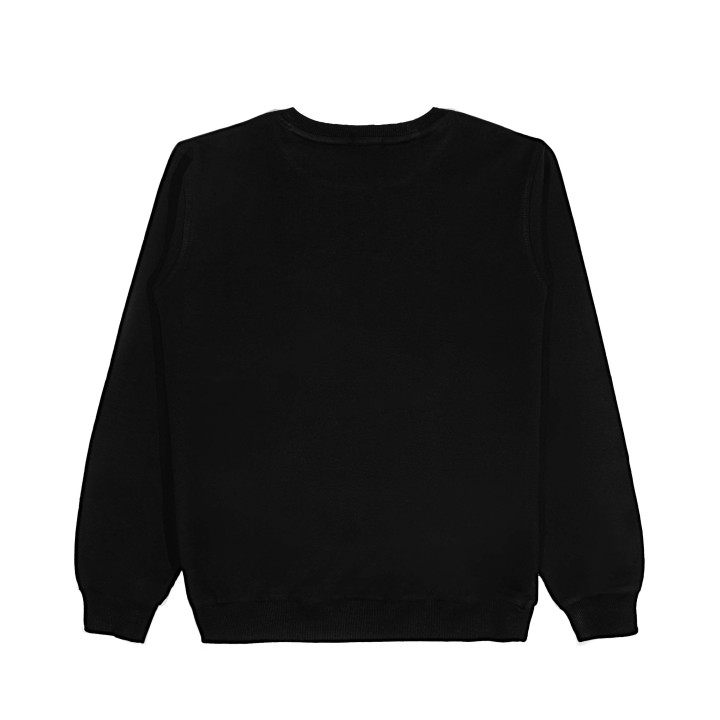 Chill Lion Sweatshirt