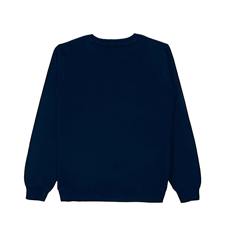 Chill Lion Sweatshirt